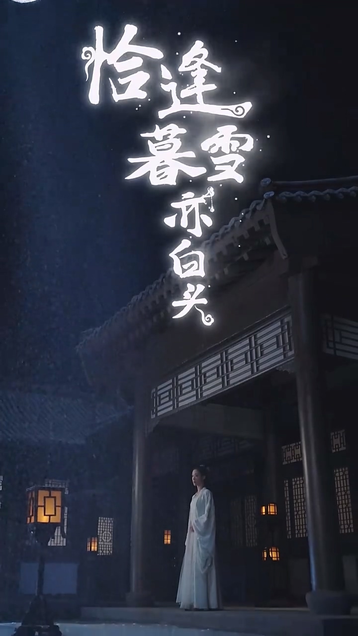 恰逢暮雪亦白头第41集