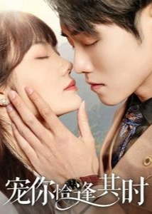 宠你恰逢其时(全集)