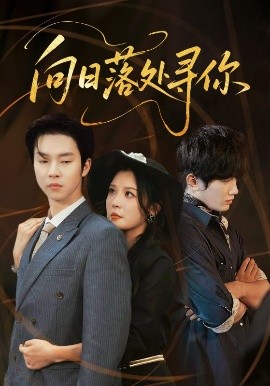 向日落处寻你(全集)