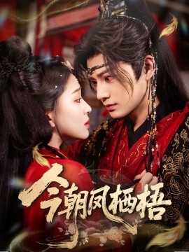 今朝凤栖梧(全集)