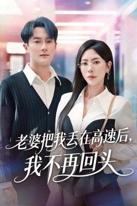 老婆把我丢在高速后，我不再回头 赠她心跳余温爱意焚作尘烟(全集)