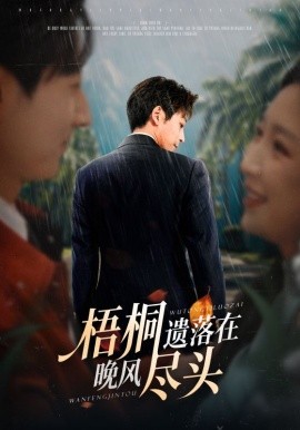 梧桐遗落在晚风尽头(全集)